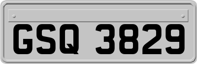 GSQ3829