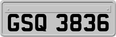 GSQ3836