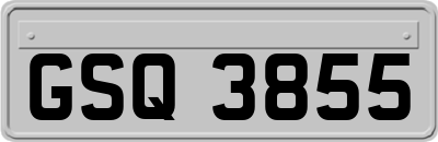 GSQ3855
