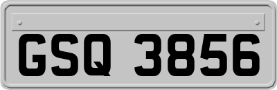GSQ3856