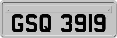 GSQ3919