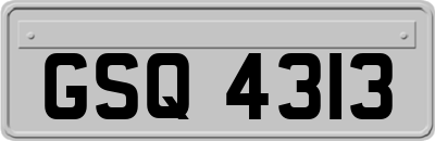 GSQ4313