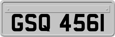 GSQ4561