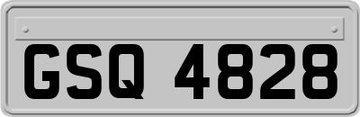 GSQ4828