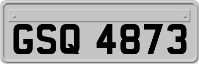 GSQ4873