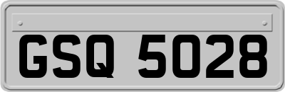 GSQ5028
