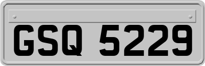 GSQ5229
