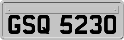GSQ5230