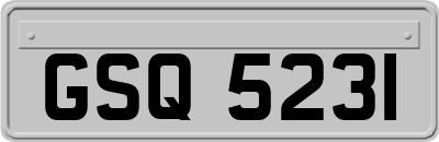 GSQ5231
