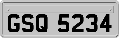 GSQ5234