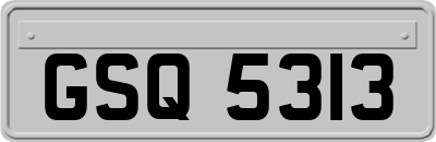 GSQ5313