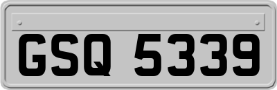 GSQ5339