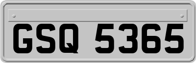 GSQ5365