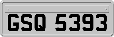 GSQ5393