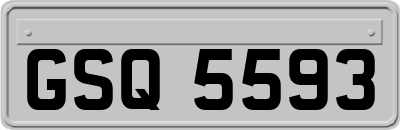 GSQ5593