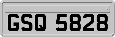 GSQ5828