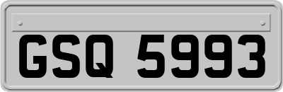 GSQ5993