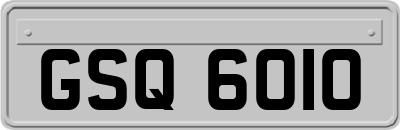 GSQ6010