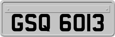 GSQ6013