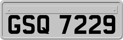 GSQ7229