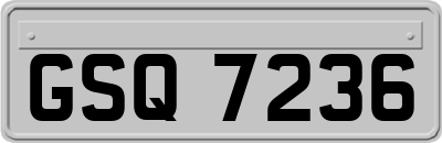 GSQ7236