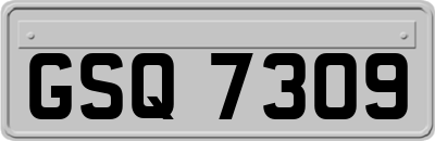 GSQ7309