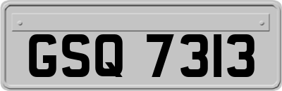 GSQ7313