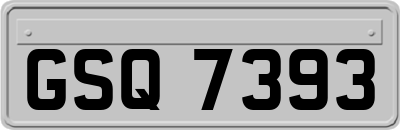GSQ7393