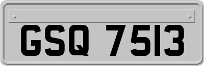 GSQ7513