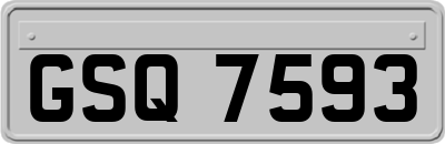 GSQ7593
