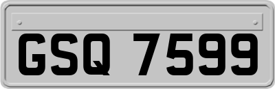 GSQ7599
