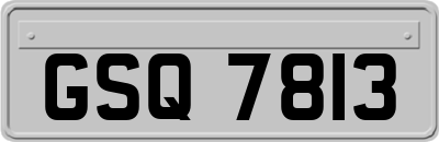 GSQ7813