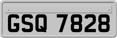 GSQ7828