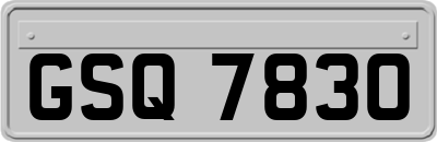GSQ7830