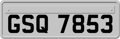 GSQ7853