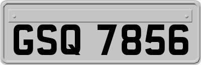 GSQ7856