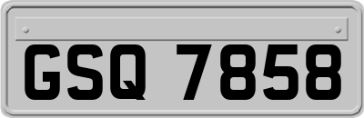 GSQ7858