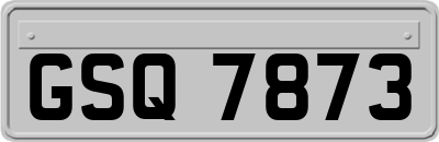 GSQ7873