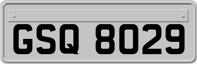 GSQ8029