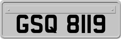 GSQ8119