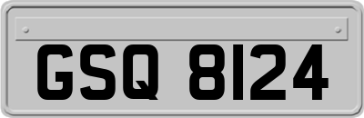 GSQ8124