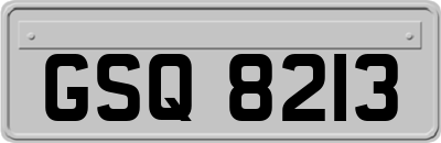 GSQ8213