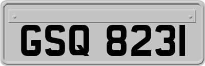 GSQ8231