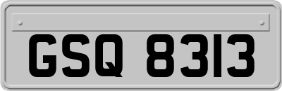 GSQ8313