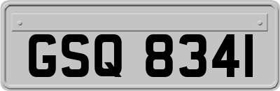 GSQ8341