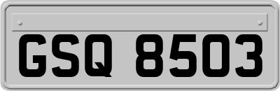 GSQ8503