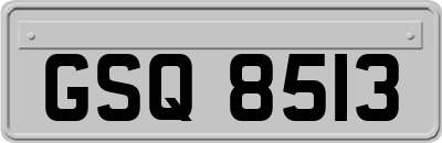 GSQ8513