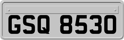 GSQ8530
