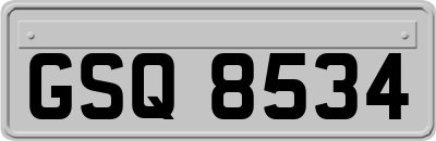 GSQ8534