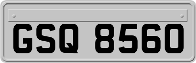 GSQ8560